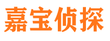 冠县市侦探